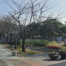 용성보건지소 이미지