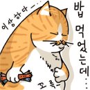 에이스테이크 - 김포시 양곡3로1번길 67 | 에이스테이크