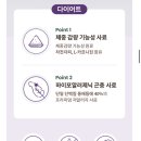 피부홀릭