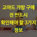 고야드 가방 구매 전 반드시 확인해야 할 3가지 정보