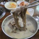 양지말뫼칼국수