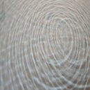 모리도중 이미지