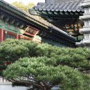 여주-1071 이미지