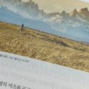 파타고니아롯데타임빌라스