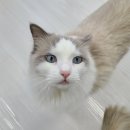 솔빈마루 이미지