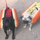 핫!도그 이미지