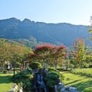 내장산 단풍생태공원 이미지