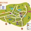 A20 | 포천 캠핑플래닛 A20 데크 사이트 세가족 캠핑후기