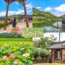 안곡마을 정류소 옆 | 옥천 가볼만한곳 BEST10, 실패없는 옥천 여행 코스