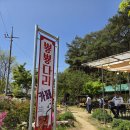 160차 예천 회룡포 이미지