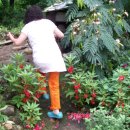 강호농장 이미지