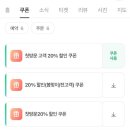 여전히스물