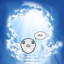 새벽우