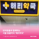 강서지금약국