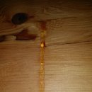 운학농장 이미지