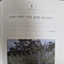 『메시지가 있는 성경식물 이야기』 3 - 모리아 산에서 이삭을 결박한 식물 이야기 이미지
