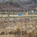 광주대주유소 이미지