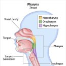 Re: 폐는 무균상태가 아니다. 폐의 microbiome... 2024 nature!! 이미지