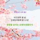 주식회사 채정 네이버블로그