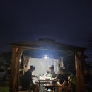 안남애로36