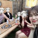 트레이닝 마에스트로 이미지