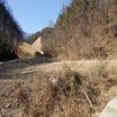 삼동면 물건1 이미지