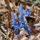 0325 고흥장계지맥, 천등산에서 도덕초까지 이미지