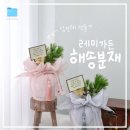[10/29]가드닝 클래스 | 🧸 Wedding 21 :: 상견례 선물로 딱이었던 해송분재 &#34;레미가든&#34; 내돈내산 후기