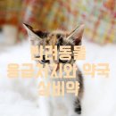 우리동물약국 이미지