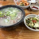 느티나무 플랫폼 | 곤지암리조트 디럭스 B 후기! 가격 식당 부대시설 온돌 꿀팁