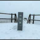 한마루산악회 2월 지리산바래봉 정기산행 안내(92차) 이미지