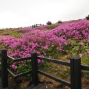 제 7차 정기산행 공지 이미지