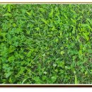 설악해맞이공원 이미지