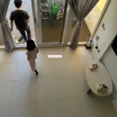 2 | 가평 트라움(Traum) 글램핑장 1박2일 후기