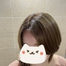 모델헤어샵 | 연남동미용실 도원 프라이빗 1인 헤어샵 뿌리염색 대만족 후기