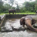 백호카랜드 이미지