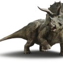 트리케라톱스-1 이미지