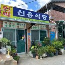 경북 상주 신용식당 로컬 밥집 한정식 점심 추천