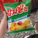 베이보릿