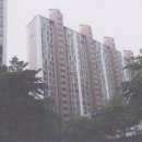 경기도 수원시 영통구 태장로 이미지