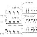 통기관의 종류.gif 이미지