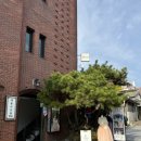 엄마사진관 | 북촌사진관 엄마랑 만삭사진 후기 31주