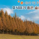 정희목장 이미지