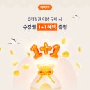 (주)애니파일 | [일본어]전화 일본어 랭디 무료 체험 및 수업 후기(1주차)