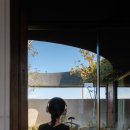 보스케 (Bosque) 이미지