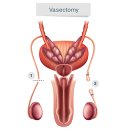 수영청담비뇨의학과의원 이미지