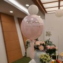 어반크루즈 이미지