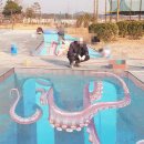 바다아트