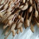 절약과 낭비의 효용 가치 이미지