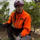 아보리스트 2급 자격증 과정 이미지